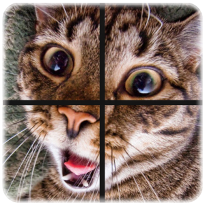 Picture Puzzle 2in1